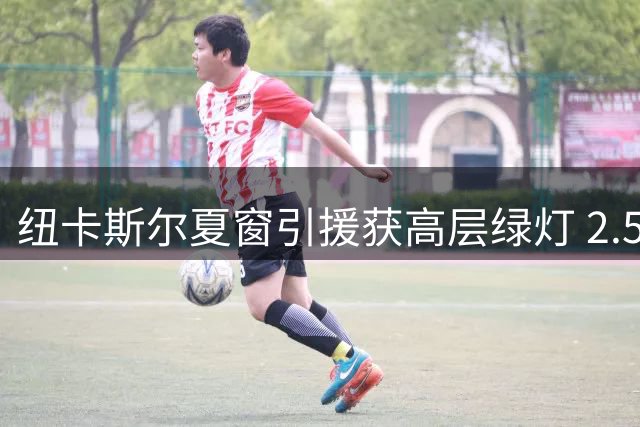 纽卡斯尔夏窗引援获高层绿灯 2.5亿英镑资金到位将瞄准四大补强